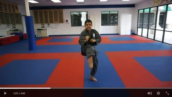 Martial Arts Specialty Program