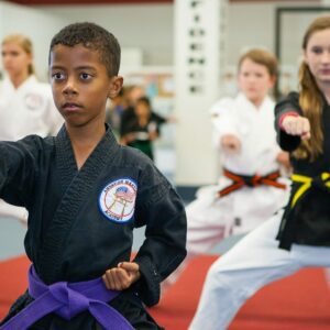 Martial Arts Program