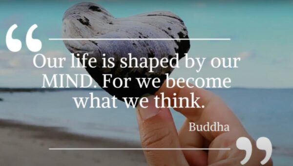 Mindful Heart Specialty Program