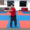 Kickboxing Specialty Program (VFF08) - Image 2